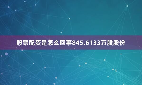 股票配资是怎么回事845.6133万股股份