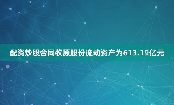 配资炒股合同牧原股份流动资产为613.19亿元