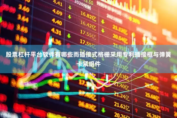 股票杠杆平台软件有哪些而插接式格栅采用专利插接框与弹簧卡紧组件