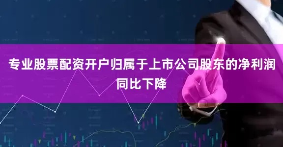 专业股票配资开户归属于上市公司股东的净利润同比下降