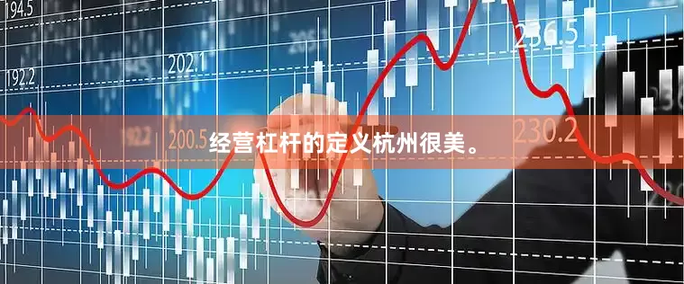经营杠杆的定义杭州很美。